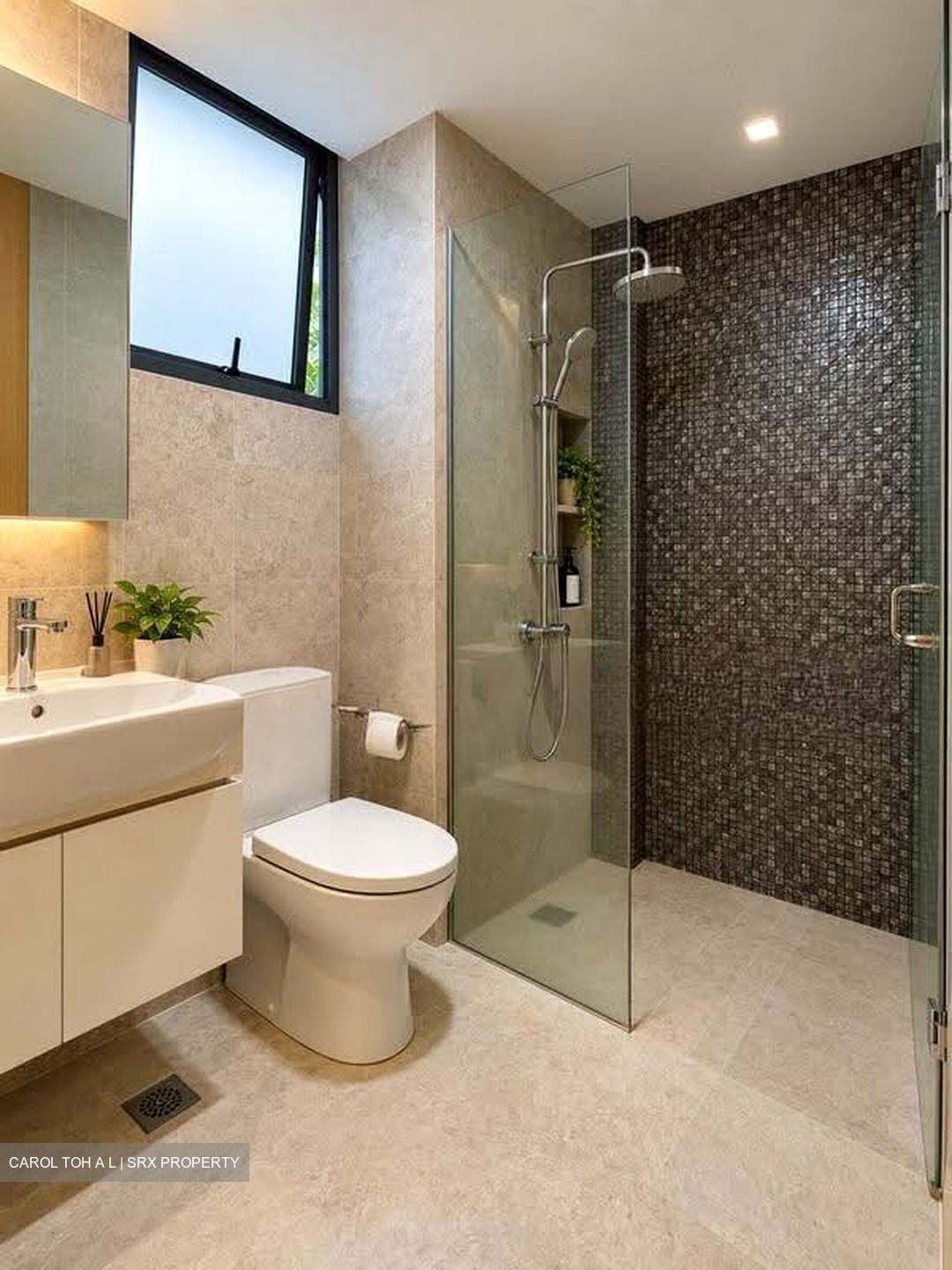 La Fiesta (D19), Condominium #613687701